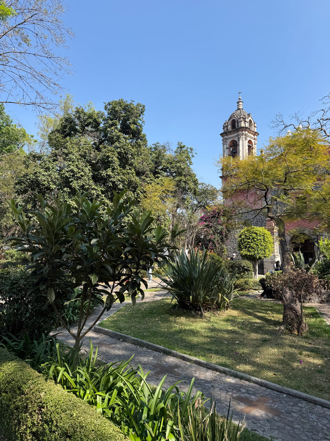 A Chic Weekend in Mexico City