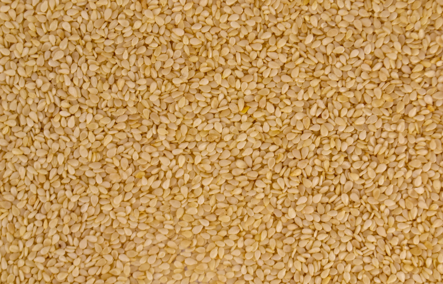 Protective Sesame Oil
